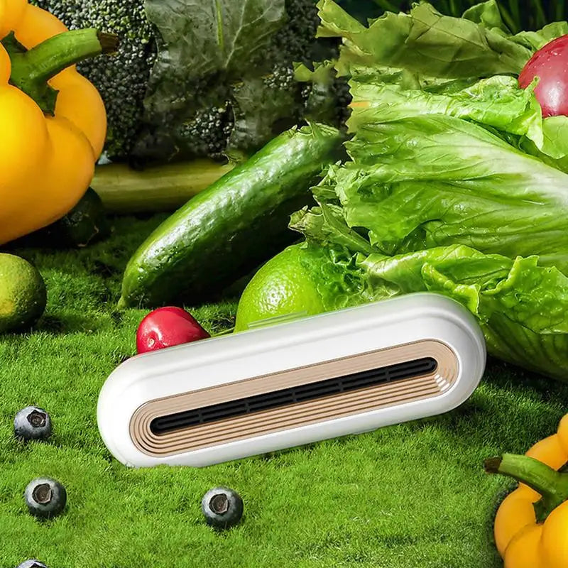 Refrigerator Air Purifier Deodorizer